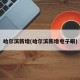 哈尔滨新增(哈尔滨新增电子眼)
