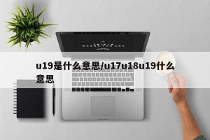 u19是什么意思/u17u18u19什么意思