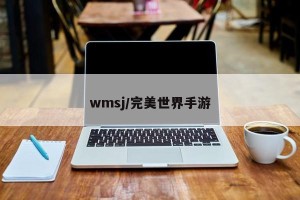 wmsj/完美世界手游