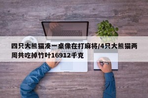 四只大熊猫凑一桌像在打麻将/4只大熊猫两周共吃掉竹叶16912千克