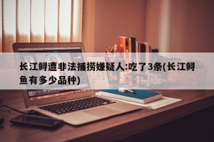 长江鲟遭非法捕捞嫌疑人:吃了3条(长江鲟鱼有多少品种)