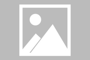 陇神戎发：控股子公司获得《药物临床试验批准通知书》
