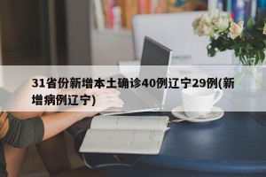31省份新增本土确诊40例辽宁29例(新增病例辽宁)