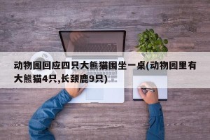 动物园回应四只大熊猫围坐一桌(动物园里有大熊猫4只,长颈鹿9只)